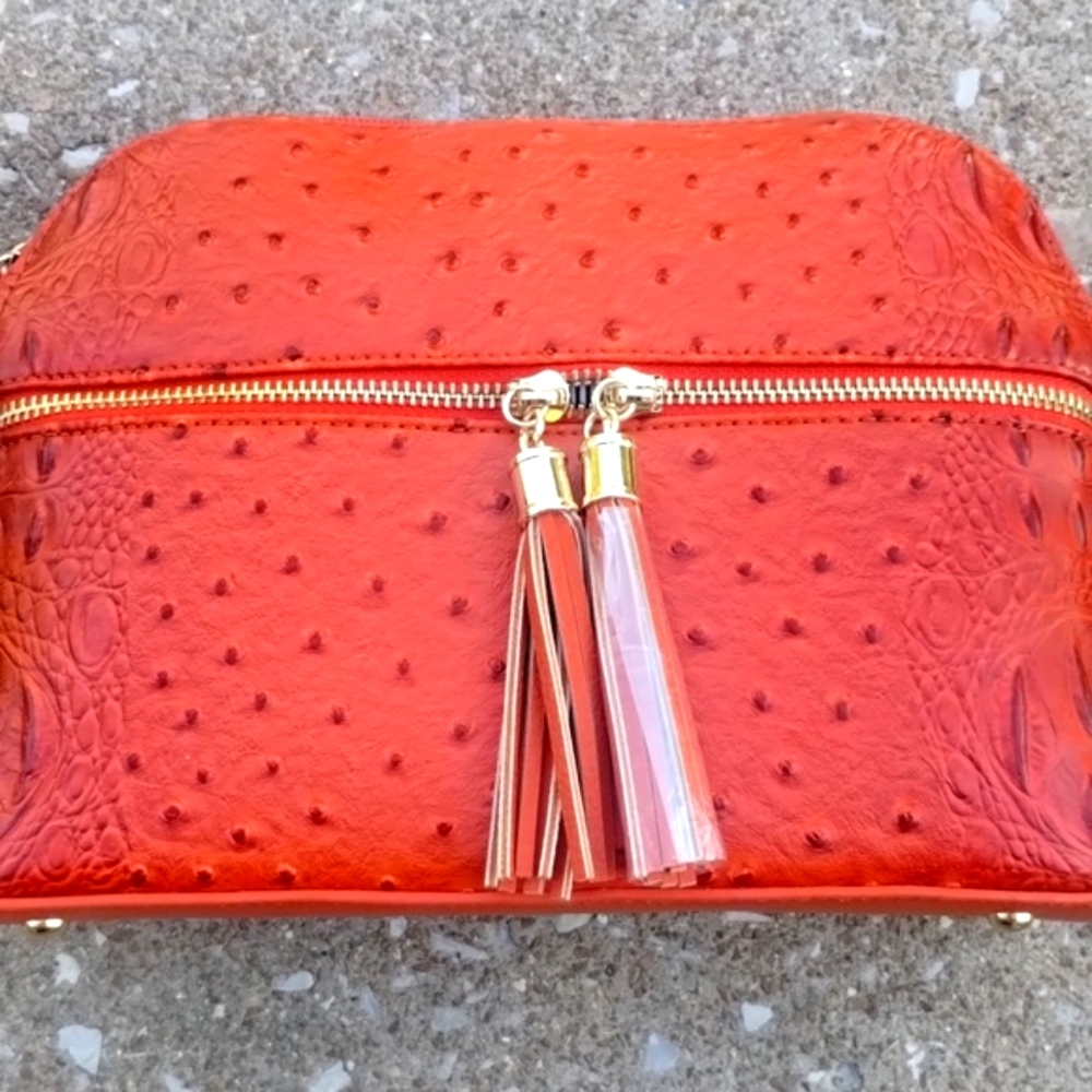 New Textured Tassel Crossbody, Burnt Orange, Multi-sectional, Zipper, Medium Siz